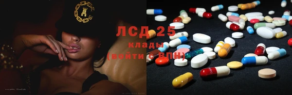 дживик Бородино