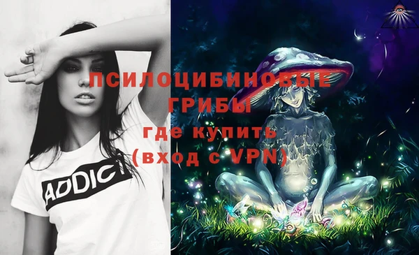 прущие крисы Бронницы