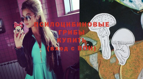 дживик Бородино