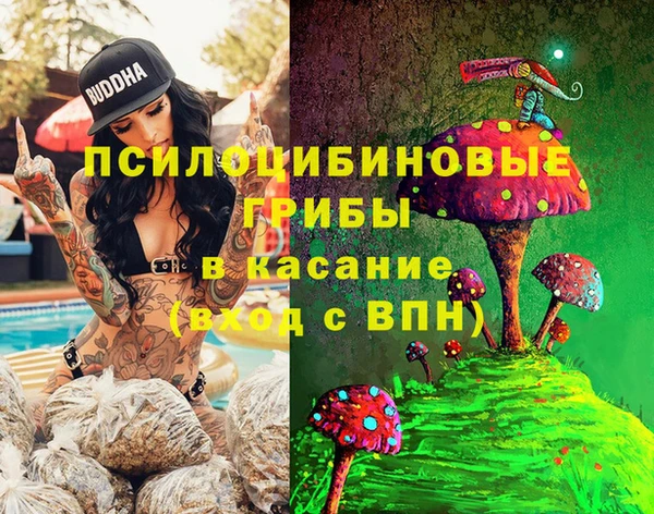 прущие крисы Бронницы