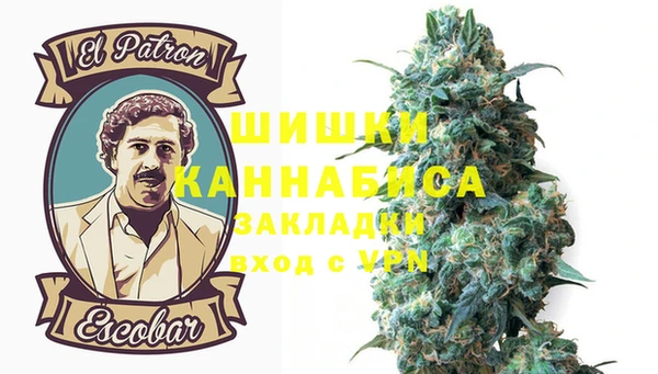 дживик Бородино