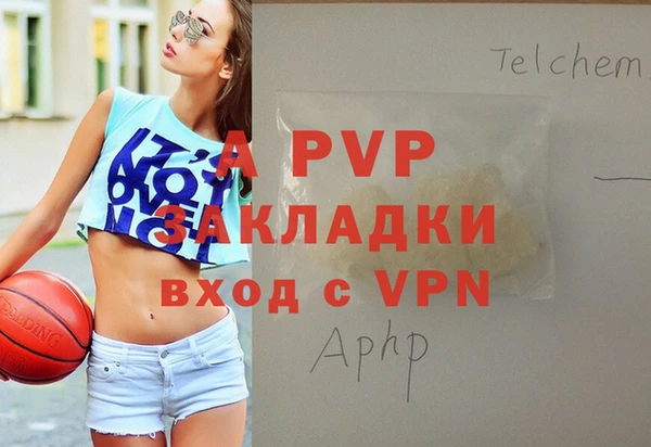 дживик Бородино
