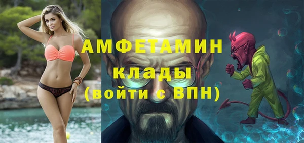 дживик Бородино