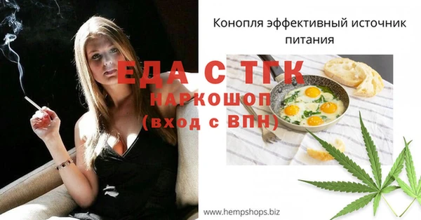 дживик Бородино