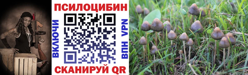 наркота  Северская  Галлюциногенные грибы GOLDEN TEACHER 